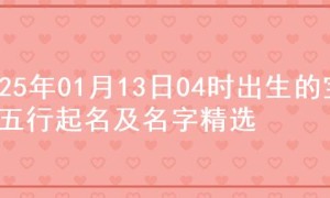 2025年01月13日04时出生的宝宝五行起名及名字精选