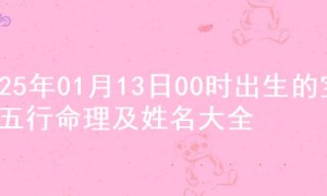 2025年01月13日00时出生的宝宝五行命理及姓名大全