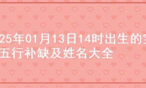 2025年01月13日14时出生的宝宝五行补缺及姓名大全