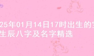 2025年01月14日17时出生的宝宝生辰八字及名字精选