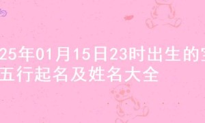 2025年01月15日23时出生的宝宝五行起名及姓名大全