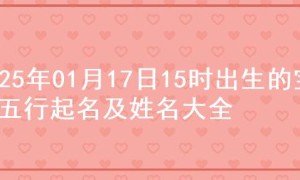 2025年01月17日15时出生的宝宝五行起名及姓名大全