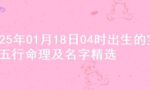 2025年01月18日04时出生的宝宝五行命理及名字精选