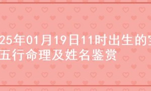2025年01月19日11时出生的宝宝五行命理及姓名鉴赏