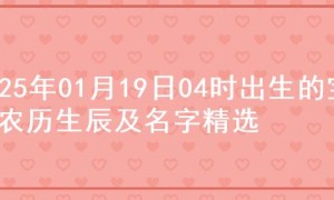 2025年01月19日04时出生的宝宝农历生辰及名字精选