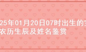 2025年01月20日07时出生的宝宝农历生辰及姓名鉴赏