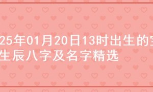 2025年01月20日13时出生的宝宝生辰八字及名字精选