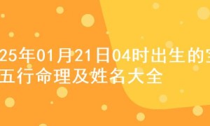 2025年01月21日04时出生的宝宝五行命理及姓名大全