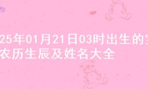 2025年01月21日03时出生的宝宝农历生辰及姓名大全