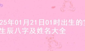 2025年01月21日01时出生的宝宝生辰八字及姓名大全