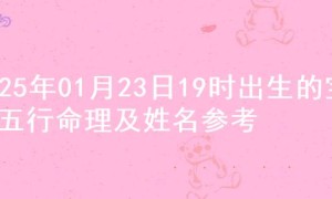 2025年01月23日19时出生的宝宝五行命理及姓名参考