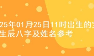 2025年01月25日11时出生的宝宝生辰八字及姓名参考