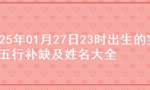 2025年01月27日23时出生的宝宝五行补缺及姓名大全