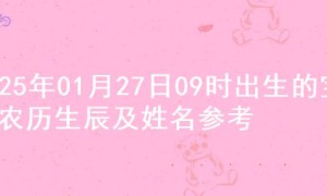 2025年01月27日09时出生的宝宝农历生辰及姓名参考