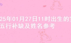 2025年01月27日11时出生的宝宝五行补缺及姓名参考