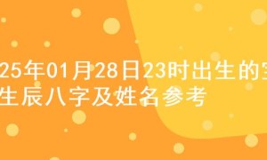 2025年01月28日23时出生的宝宝生辰八字及姓名参考