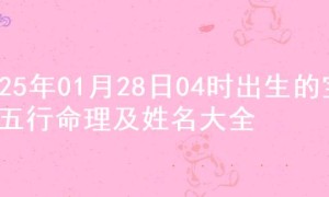 2025年01月28日04时出生的宝宝五行命理及姓名大全