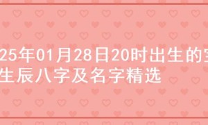 2025年01月28日20时出生的宝宝生辰八字及名字精选
