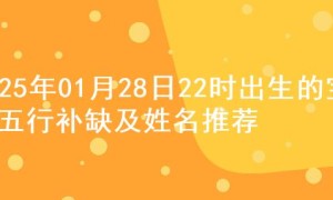 2025年01月28日22时出生的宝宝五行补缺及姓名推荐