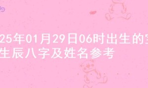 2025年01月29日06时出生的宝宝生辰八字及姓名参考