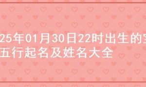 2025年01月30日22时出生的宝宝五行起名及姓名大全