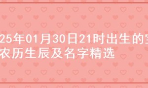 2025年01月30日21时出生的宝宝农历生辰及名字精选