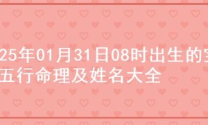 2025年01月31日08时出生的宝宝五行命理及姓名大全