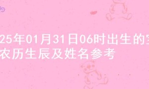 2025年01月31日06时出生的宝宝农历生辰及姓名参考