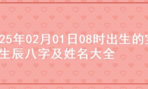 2025年02月01日08时出生的宝宝生辰八字及姓名大全