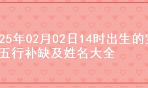 2025年02月02日14时出生的宝宝五行补缺及姓名大全