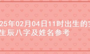 2025年02月04日11时出生的宝宝生辰八字及姓名参考