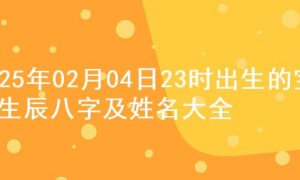 2025年02月04日23时出生的宝宝生辰八字及姓名大全