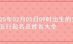 2025年02月05日09时出生的宝宝五行起名及姓名大全