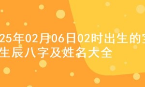 2025年02月06日02时出生的宝宝生辰八字及姓名大全