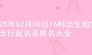 2025年02月08日16时出生的宝宝五行起名及姓名大全