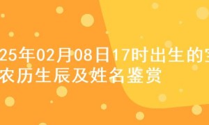 2025年02月08日17时出生的宝宝农历生辰及姓名鉴赏