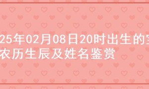 2025年02月08日20时出生的宝宝农历生辰及姓名鉴赏