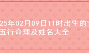2025年02月09日11时出生的宝宝五行命理及姓名大全