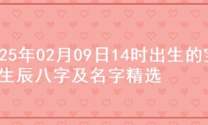 2025年02月09日14时出生的宝宝生辰八字及名字精选