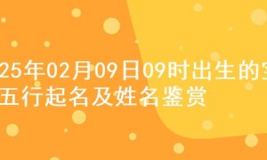 2025年02月09日09时出生的宝宝五行起名及姓名鉴赏