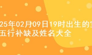 2025年02月09日19时出生的宝宝五行补缺及姓名大全