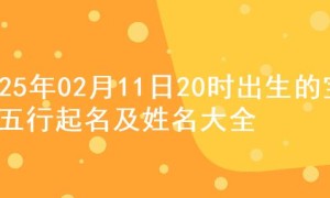 2025年02月11日20时出生的宝宝五行起名及姓名大全