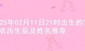 2025年02月11日21时出生的宝宝农历生辰及姓名推荐