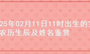2025年02月11日11时出生的宝宝农历生辰及姓名鉴赏