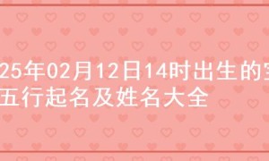 2025年02月12日14时出生的宝宝五行起名及姓名大全