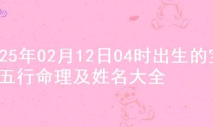 2025年02月12日04时出生的宝宝五行命理及姓名大全