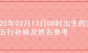 2025年02月13日08时出生的宝宝五行补缺及姓名参考