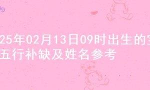 2025年02月13日09时出生的宝宝五行补缺及姓名参考