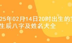 2025年02月14日20时出生的宝宝生辰八字及姓名大全