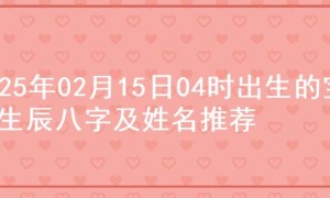 2025年02月15日04时出生的宝宝生辰八字及姓名推荐